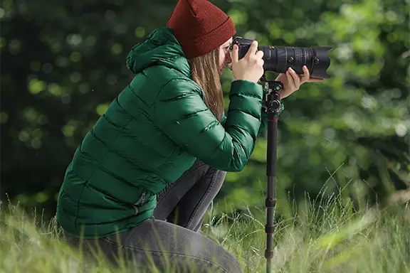 Das Dreibeinstativ wird im Wald genutzt.
